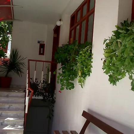 Guest house Lebed