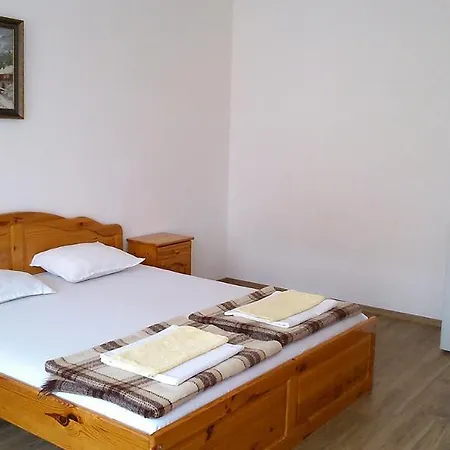 Guest house Lebed *