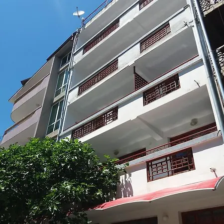 Lebed Guest house *